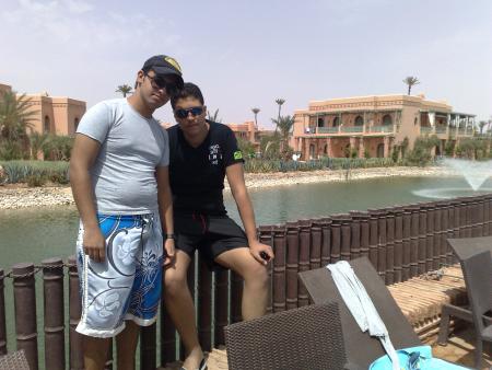 ℓєѕ ραℓмєяαιє