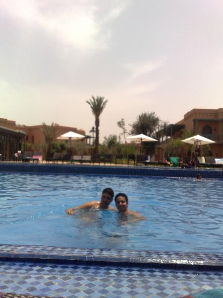 ℓєѕ ραℓмєяαιє